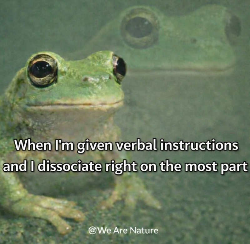 When I'm given verbal instructions and I dissociate right on the most part @We Are Nature