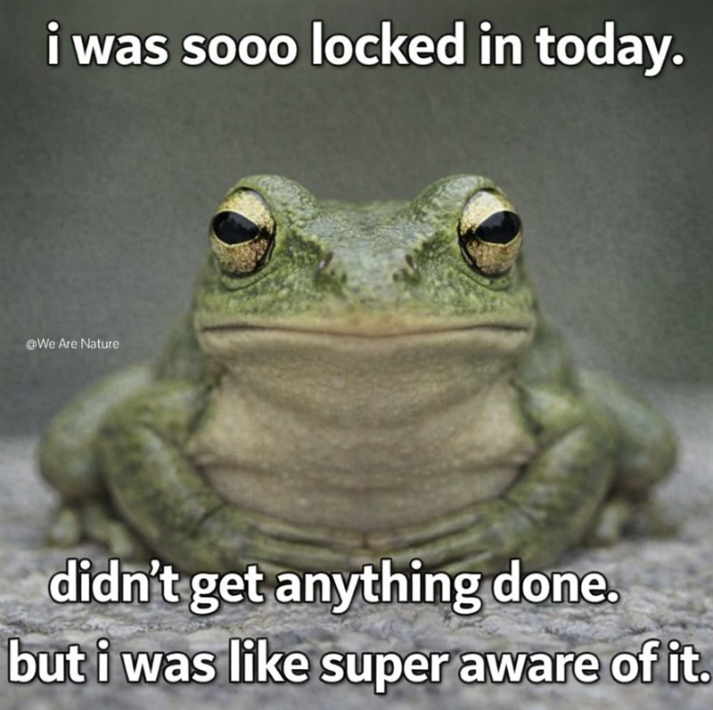 i was sooo locked in today. @We Are Nature didn't get anything done. but i was like super aware of it.
