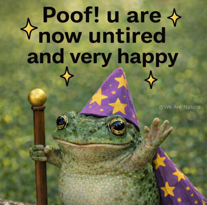 Poof! u are ✩ now untired and very happy @We Are Nature
