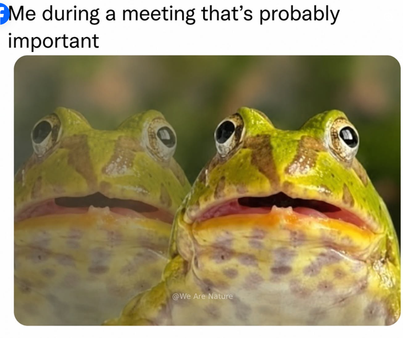 Me during a meeting that's probably important @We Are Nature