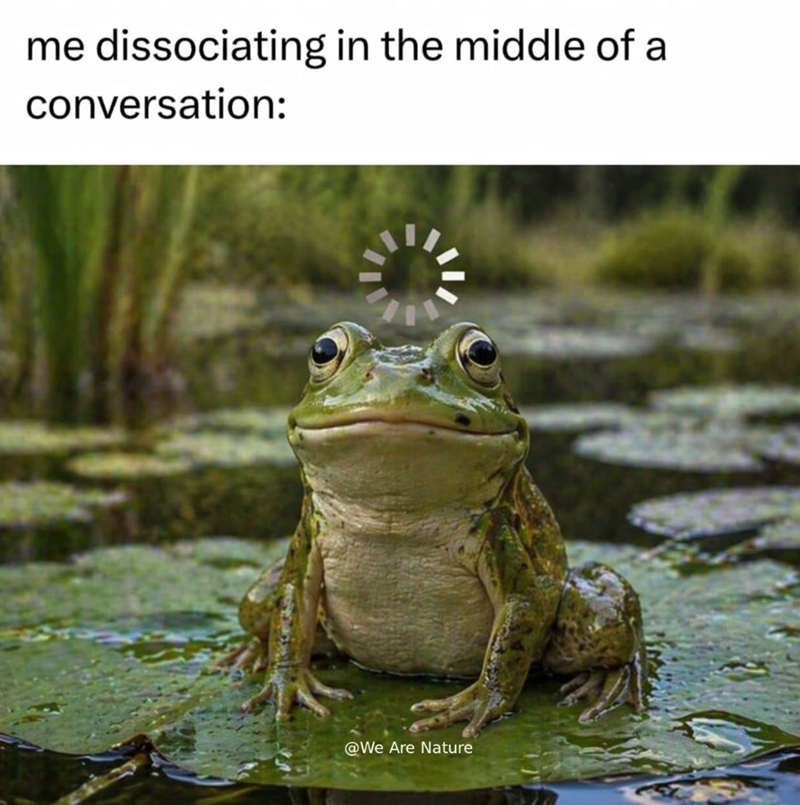 me dissociating in the middle of a conversation: @We Are Nature