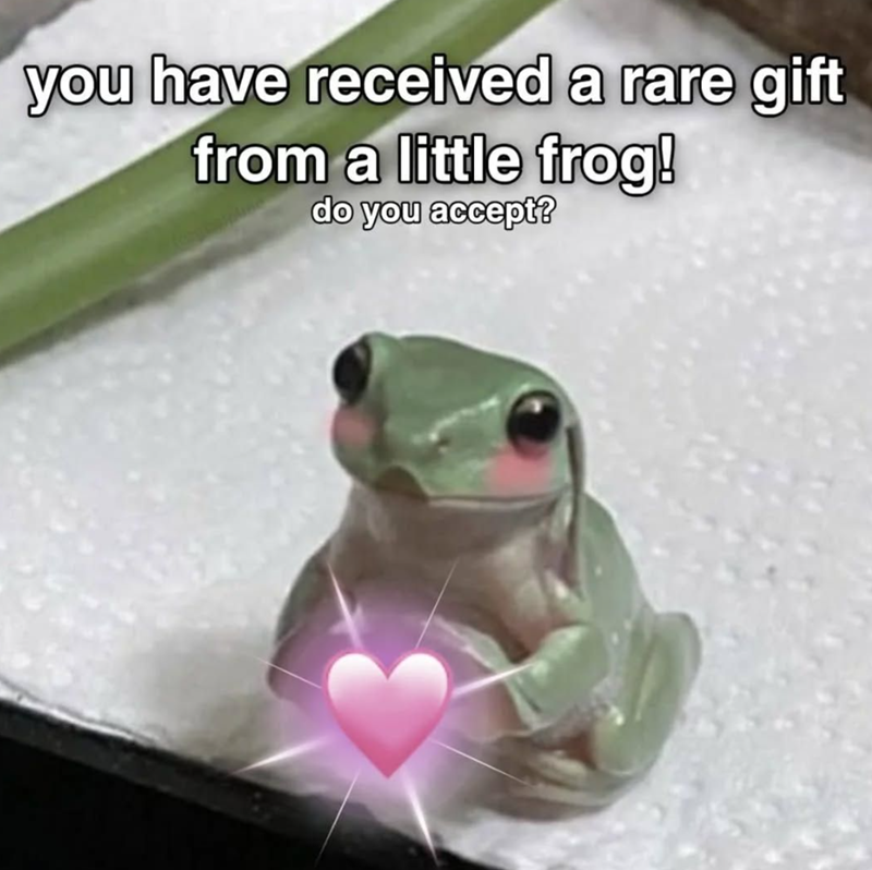 you have received a rare gift from a little frog! do you accept?
