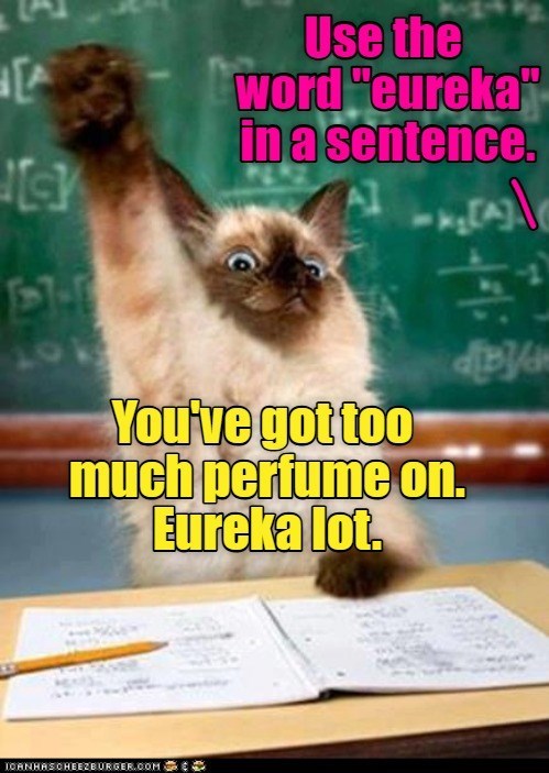 A 1-1-1 201 Use the word "eureka" in a sentence. You've got too much perfume on. Eureka lot. ICANHASCHEEZBURGER.COM