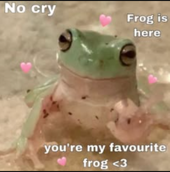 No cry Frog is here you're my favourite frog <3