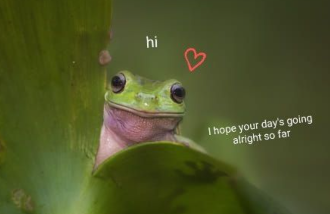 hi B I hope your day's going alright so far