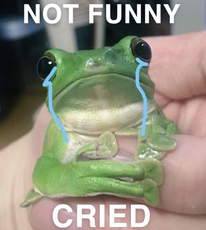 NOT FUNNY CRIED