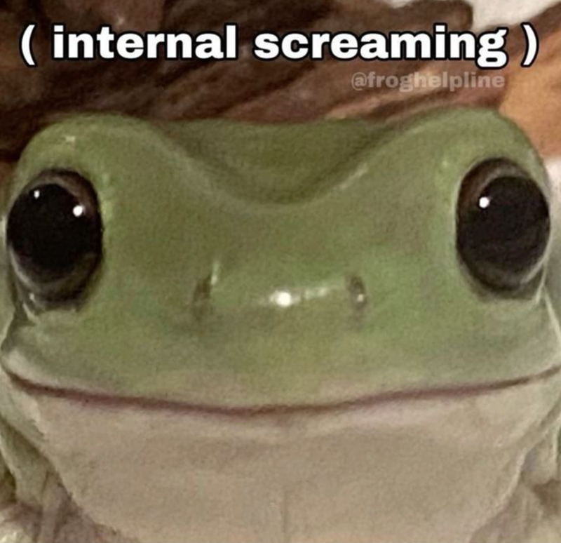 (internal screaming) @froghelpline