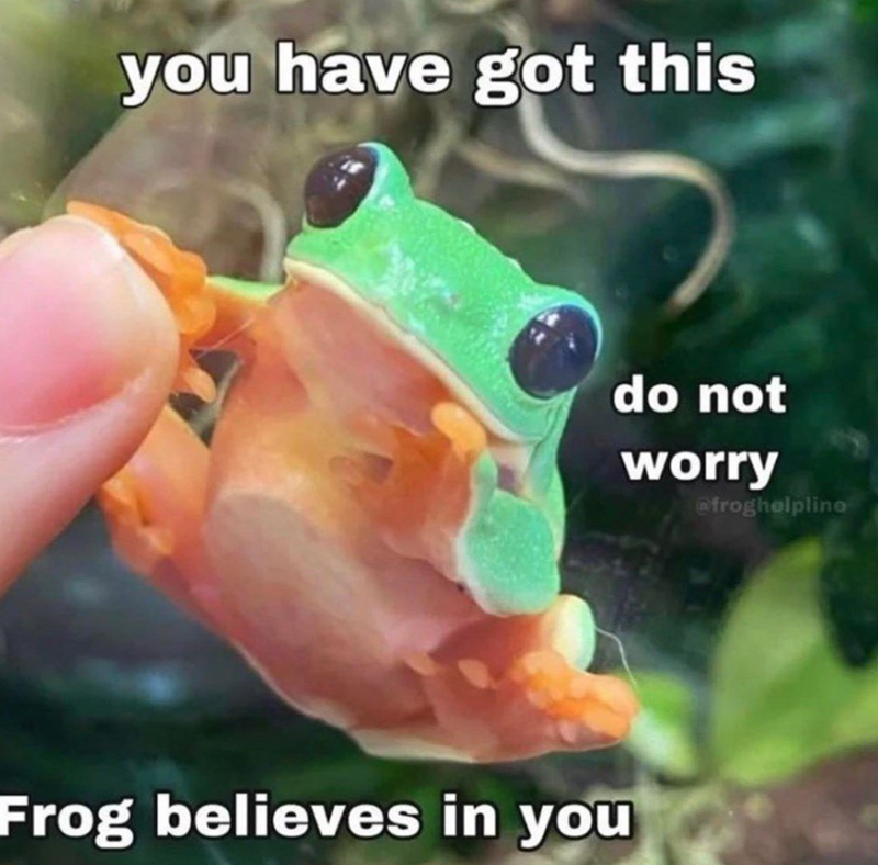 you have got this do not worry @froghelpline Frog believes in you