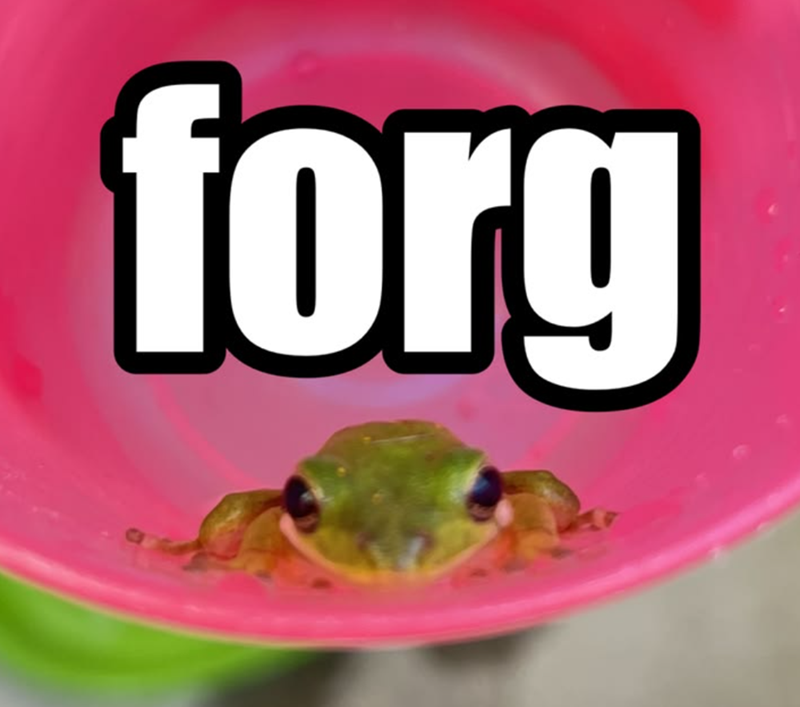 forg