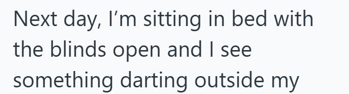 Next day, I'm sitting in bed with the blinds open and I see something darting outside my