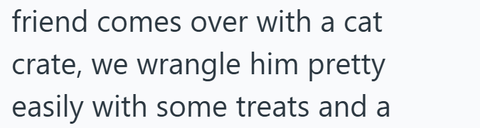 friend comes over with a cat crate, we wrangle him pretty easily with some treats and a