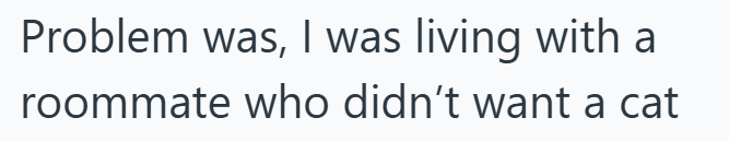 Problem was, I was living with a roommate who didn't want a cat