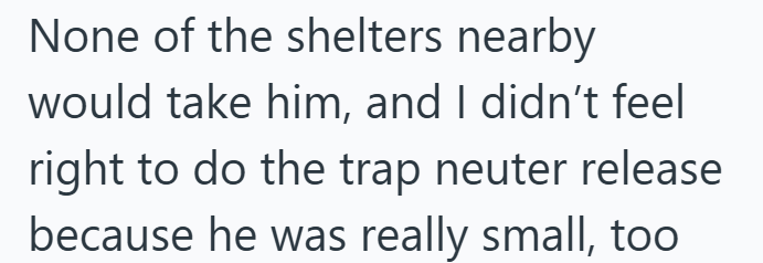 None of the shelters nearby would take him, and I didn't feel right to do the trap neuter release because he was really small, too