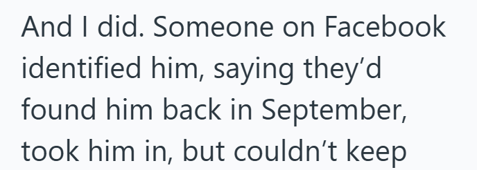 And I did. Someone on Facebook identified him, saying they'd found him back in September, took him in, but couldn't keep