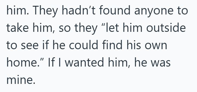 him. They hadn't found anyone to take him, so they "let him outside to see if he could find his own home." If I wanted him, he was mine.