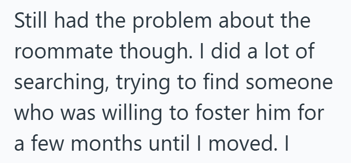 Still had the problem about the roommate though. I did a lot of searching, trying to find someone who was willing to foster him for a few months until I moved. I