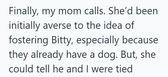 Finally, my mom calls. She'd been initially averse to the idea of fostering Bitty, especially because they already have a dog. But, she could tell he and I were tied