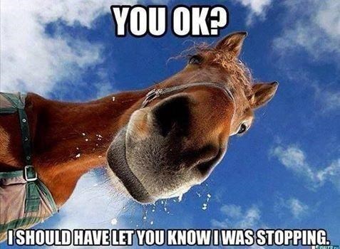 YOU OK? I SHOULD HAVE LET YOU KNOW I WAS STOPPING.