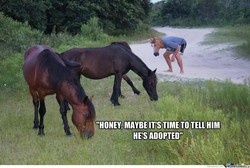 "HONEY, MAYBE IT'S TIME TO TELL HIM HE'S ADOPTED" memecenter.co Meme Center