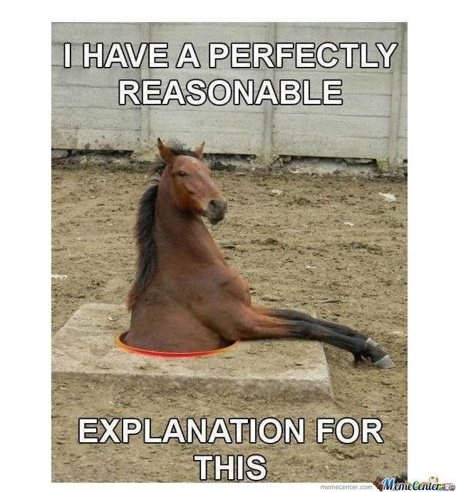I HAVE A PERFECTLY REASONABLE EXPLANATION FOR THIS memecenter.com Meme Center