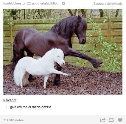 I tomhiddleston anotherlalabiblio... iiiarclight: give em the ol razzle dazzle 114,565 notes [] Source: babygirleady