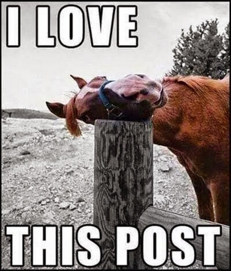 I LOVE THIS POST
