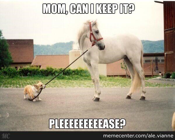MC MOM, CAN I KEEP IT? PLEEEEEEEEEASE? memecenter.com/ale.vianne