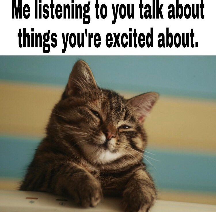 Me listening to you talk about things you're excited about.