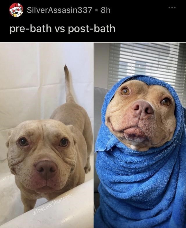 SilverAssasin337 ⚫8h pre-bath vs post-bath @TheLadyShortcake TheLadyShortcake