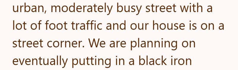 urban, moderately busy street with a lot of foot traffic and our house is on a street corner. We are planning on eventually putting in a black iron