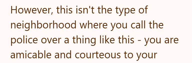 However, this isn't the type of neighborhood where you call the police over a thing like this - you are amicable and courteous to your