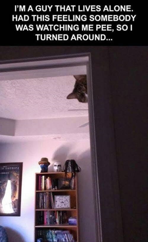 I'M A GUY THAT LIVES ALONE. HAD THIS FEELING SOMEBODY WAS WATCHING ME PEE, SO I TURNED AROUND...
