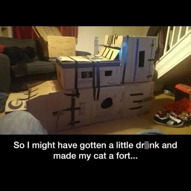 5 三 So I might have gotten a little drink and made my cat a fort...