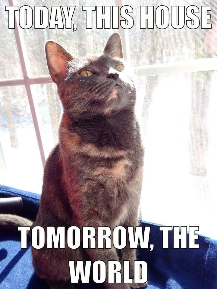 TODAY, THIS HOUSE TOMORROW. THE WORLD