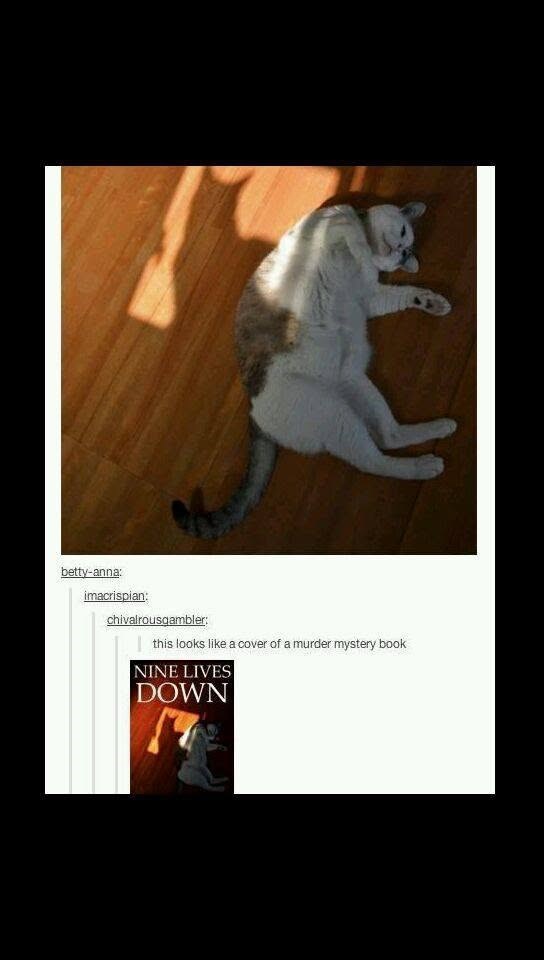 betty-anna: imacrispian: chivalrousgambler: this looks like a cover of a murder mystery book NINE LIVES DOWN