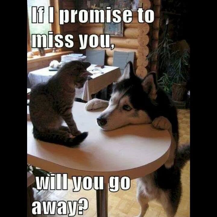If I promise to miss you, will you go away?
