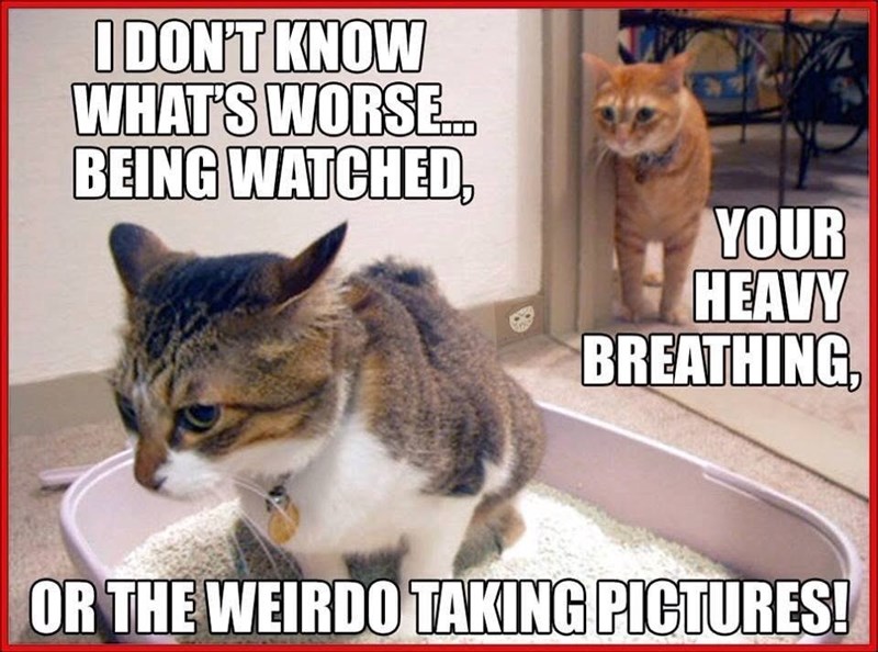 I DON'T KNOW WHAT'S WORSE.... BEING WATCHED, YOUR HEAVY BREATHING, OR THE WEIRDO TAKING PICTURES!