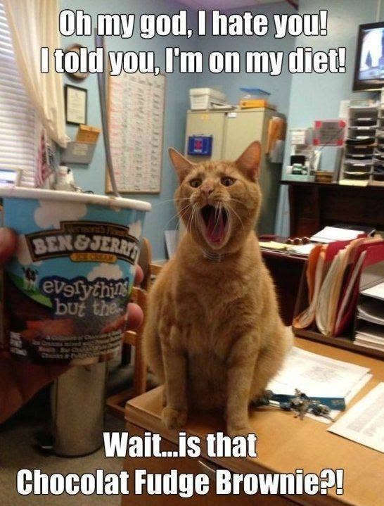 Oh my god, I hate you! I told you, I'm on my diet! Jahanian's Vermonds BEN&JERRY everything but the Chunks &t Wait...is that Chocolat Fudge Brownie?!