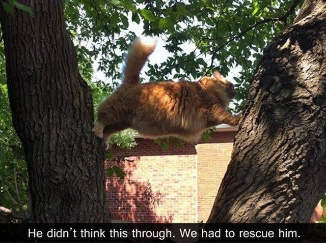 He didn't think this through. We had to rescue him.