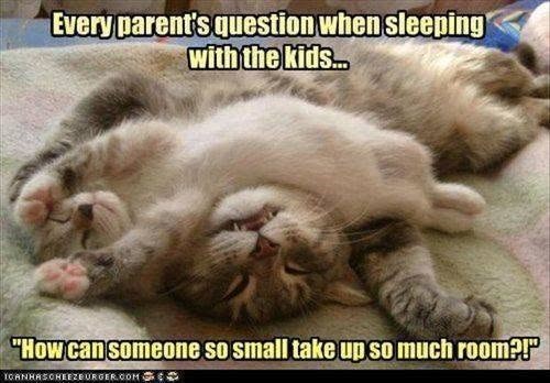 Every parent's question when sleeping with the kids... "How can someone so small take up so much room?!" ICANHASCHEEZBURGER.COM