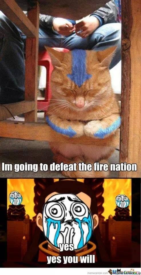 Im going to defeat the fire nation yes yes you will memecenter.com MemeCenter