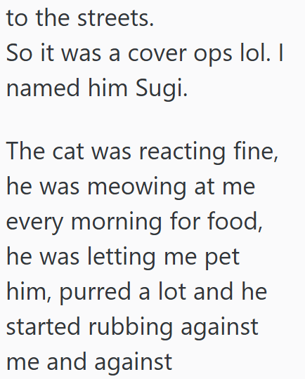 to the streets. So it was a cover ops lol. I named him Sugi. The cat was reacting fine, he was meowing at me every morning for food, he was letting me pet him, purred a lot and he started rubbing against me and against