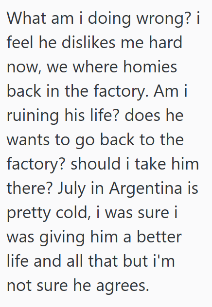 What am i doing wrong? i feel he dislikes me hard now, we where homies back in the factory. Am i ruining his life? does he wants to go back to the factory? should i take him there? July in Argentina is pretty cold, i was sure i was giving him a better life and all that but i'm not sure he agrees.