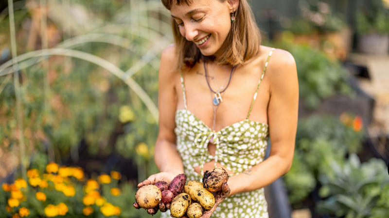 Smiling woman holds freshly harvested potatoes in both hands while standing in a vegetable garden.