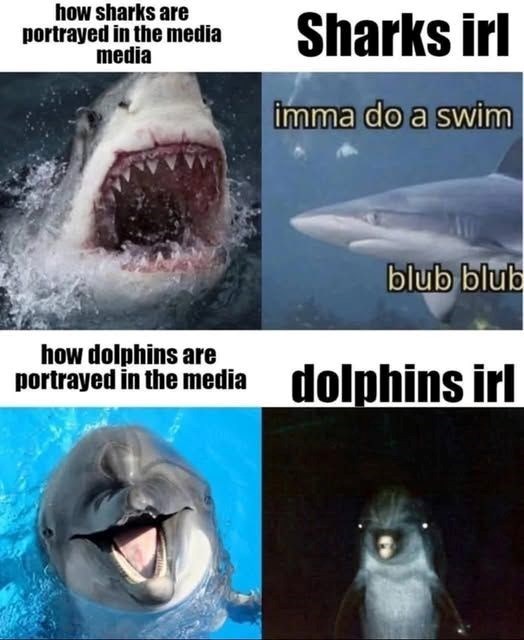 how sharks are portrayed in the media media Sharks irl imma do a swim blub blub how dolphins are portrayed in the media dolphins irl