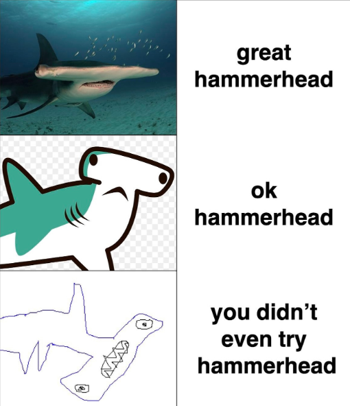 great hammerhead ok hammerhead you didn't even try hammerhead