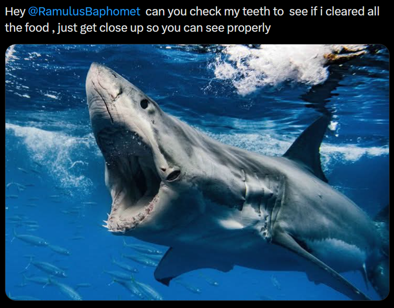 Hey @RamulusBaphomet can you check my teeth to see if i cleared all the food, just get close up so you can see properly