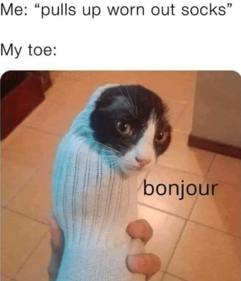 Me: "pulls up worn out socks" My toe: bonjour