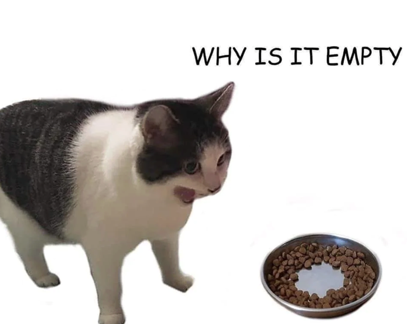 WHY IS IT EMPTY