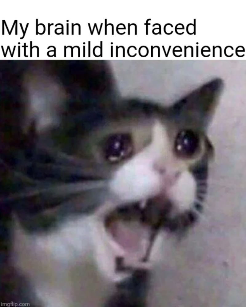 My brain when faced with a mild inconvenience imgflip.com